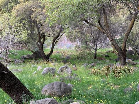 44291 N Fork Dr, Three Rivers, CA 93271 photo 73
