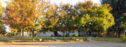 2165 W Morris Ct, Exeter, CA 93221 photo 6