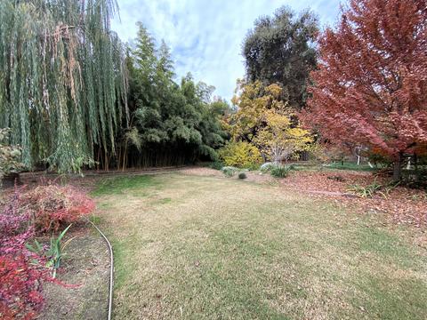 525 E Chevy Chase Dr, Tulare, CA 93274 photo 53