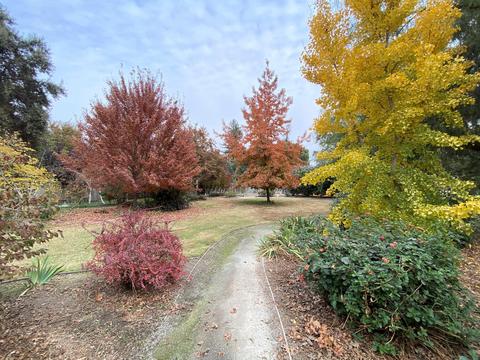 525 E Chevy Chase Dr, Tulare, CA 93274 photo 52