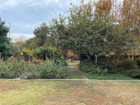 525 E Chevy Chase Dr, Tulare, CA 93274 photo 48