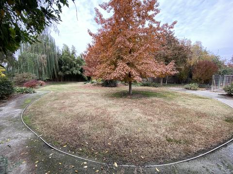 525 E Chevy Chase Dr, Tulare, CA 93274 photo 50