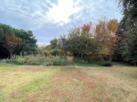 525 E Chevy Chase Dr, Tulare, CA 93274 photo 47