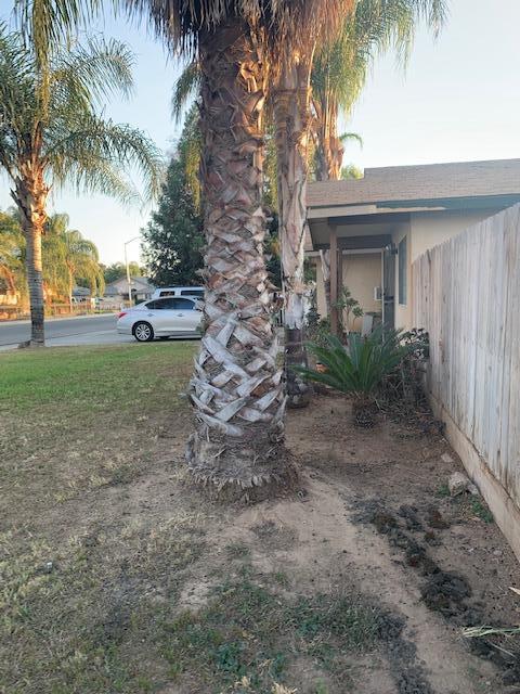 40491 Nancy Rd, Cutler, CA 93615 photo 4