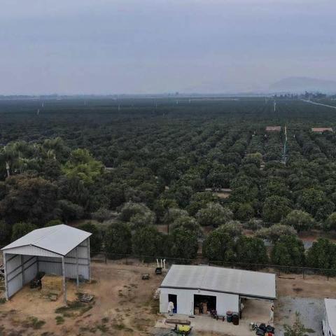 30571 Road 220, Exeter, CA 93221 photo 5