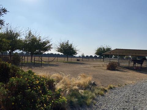 30571 Road 220, Exeter, CA 93221 photo 34