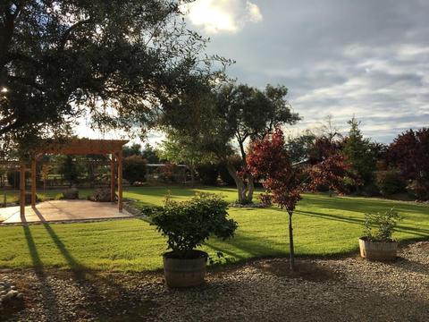 22561 Carson Ave, Exeter, CA 93221 photo 65