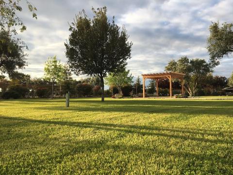 22561 Carson Ave, Exeter, CA 93221 photo 63