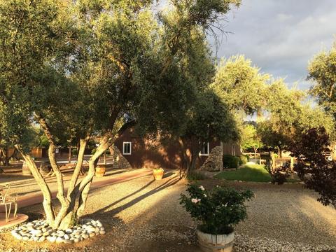 22561 Carson Ave, Exeter, CA 93221 photo 64