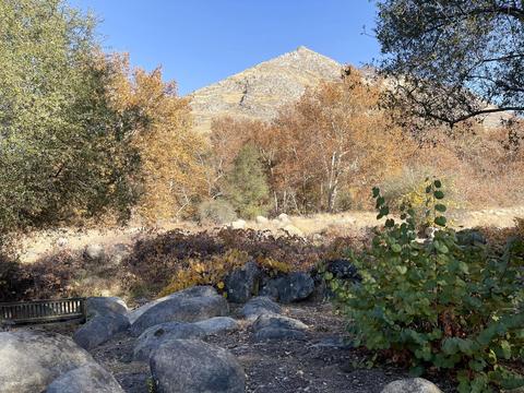40964 Cherokee Oaks Dr, Three Rivers, CA 93271 photo 41