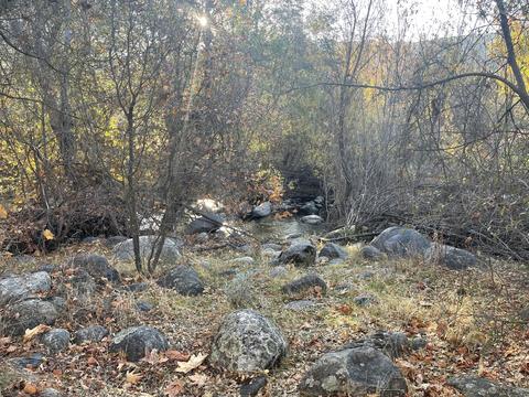 43654 Kaweah River Dr, Three Rivers, CA 93271 photo 25