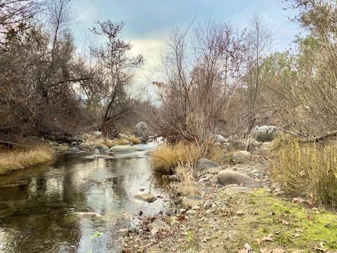 33925 Ca-190, Springville, CA 93265 photo 77