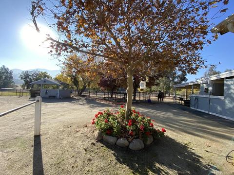 33925 Ca-190, Springville, CA 93265 photo 60