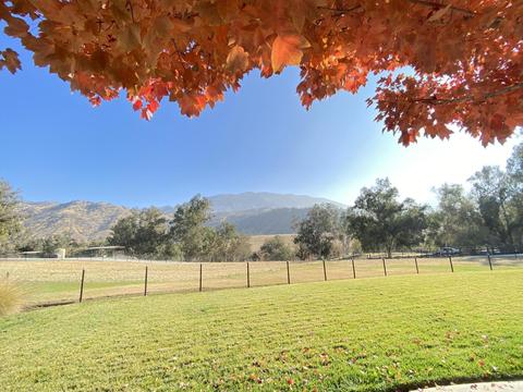 33925 Ca-190, Springville, CA 93265 photo 35