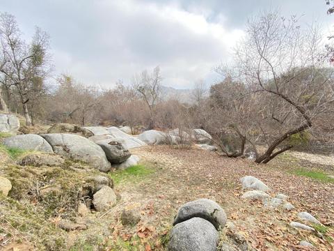33925 Ca-190, Springville, CA 93265 photo 73