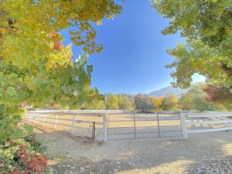 33925 Ca-190, Springville, CA 93265 photo 64