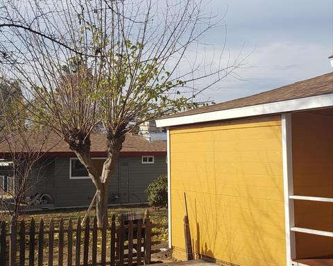 126 N Quince Ave, Exeter, CA 93221 photo 28