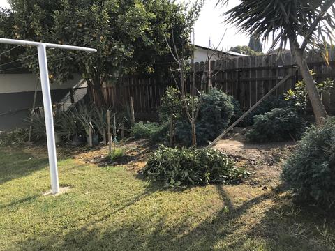 1499 E Dianna Ave, Pixley, CA 93256 photo 11
