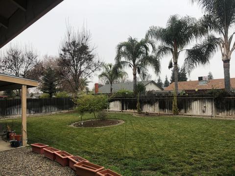 531 Village, Exeter, CA 93221 photo 4