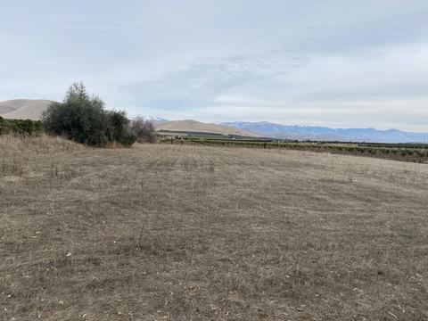 20192 Road 248, Strathmore, CA 93267 photo 21