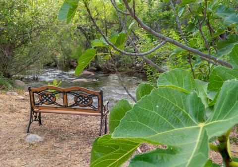 40508 Sierra Dr, Three Rivers, CA 93271 photo 4