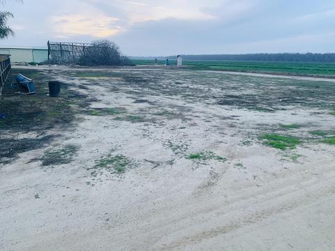 1624 E Pacific Ave, Tulare, CA 93274 photo 4
