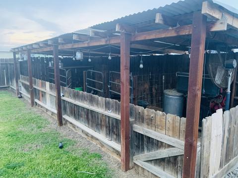 1624 E Pacific Ave, Tulare, CA 93274 photo 6