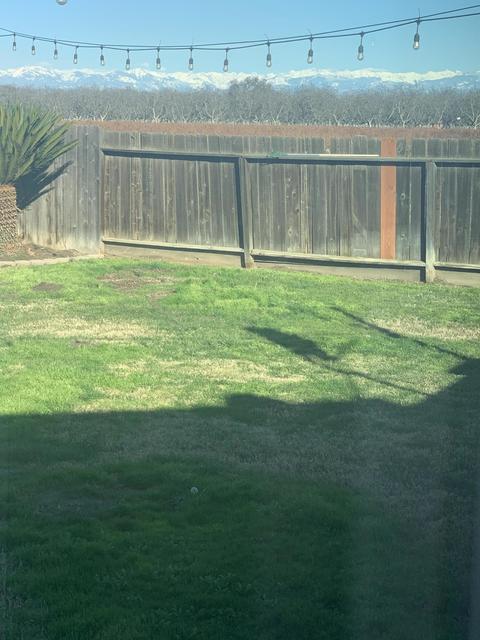 1624 E Pacific Ave, Tulare, CA 93274 photo 10
