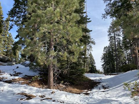 57967 Summit Dr, Springville, CA 93265 photo 1