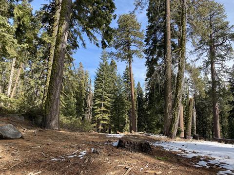57967 Summit Dr, Springville, CA 93265 photo 2