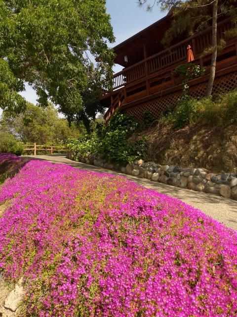 42182 Mynatt Dr, Three Rivers, CA 93271 photo 29