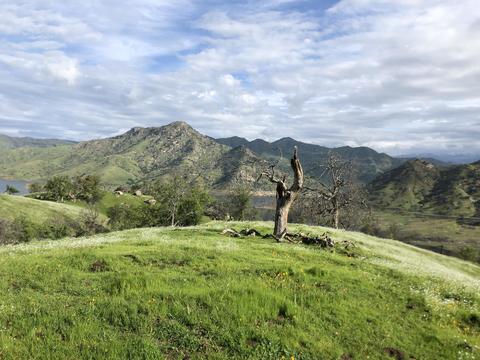 37970 Sierra Dr, Three Rivers, CA 93271 photo 24