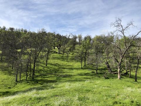 37970 Sierra Dr, Three Rivers, CA 93271 photo 26