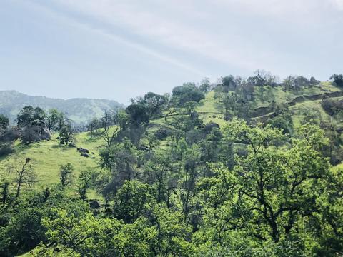 37970 Sierra Dr, Three Rivers, CA 93271 photo 25