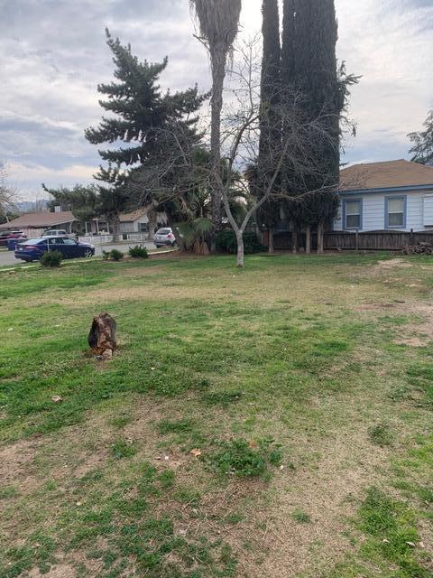 450 E Walnut St, Exeter, CA 93221 photo 9