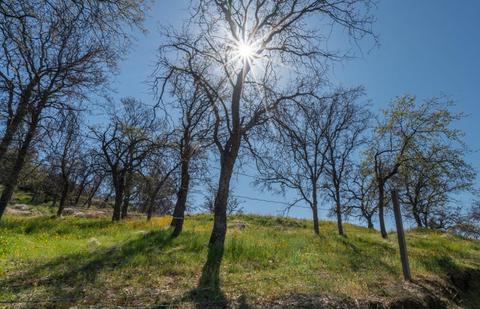 44277 Noel Dr, Three Rivers, CA 93271 photo 36