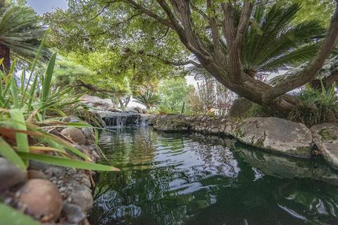 397 Valley View Dr, Exeter, CA 93221 photo 77
