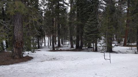 57451 Snow Flake Dr, Ponderosa, CA 93265 photo 2