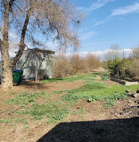 27412 Rd 176, Exeter, CA 93221 photo 23