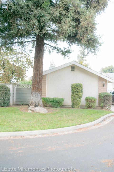 1338 E Castlecrest Ave, Visalia, CA 93292 photo 2