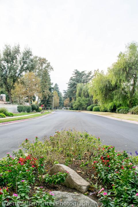 1338 E Castlecrest Ave, Visalia, CA 93292 photo 17
