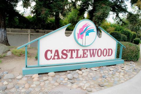 1338 E Castlecrest Ave, Visalia, CA 93292 photo 18