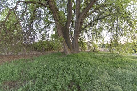 2411 E K Ave, Visalia, CA 93292 photo 61