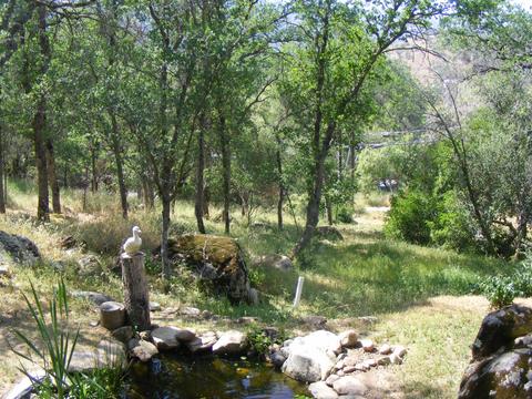 42504 Sierra Dr, Three Rivers, CA 93271 photo 45