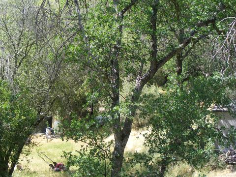 42504 Sierra Dr, Three Rivers, CA 93271 photo 53