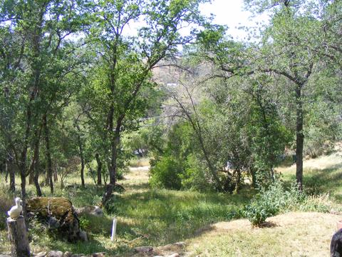42504 Sierra Dr, Three Rivers, CA 93271 photo 46