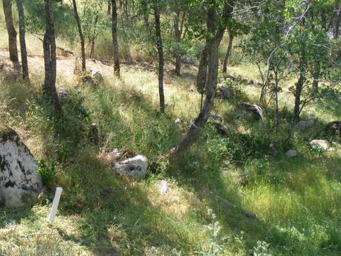 42504 Sierra Dr, Three Rivers, CA 93271 photo 52