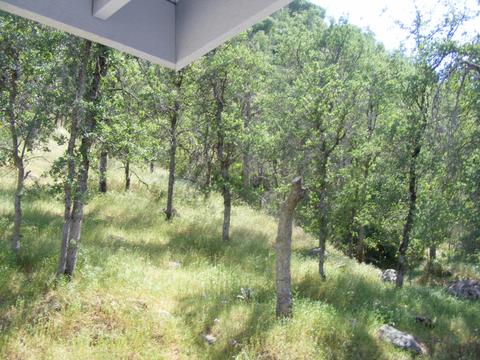 42504 Sierra Dr, Three Rivers, CA 93271 photo 44