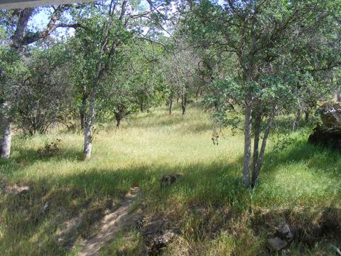 42504 Sierra Dr, Three Rivers, CA 93271 photo 43