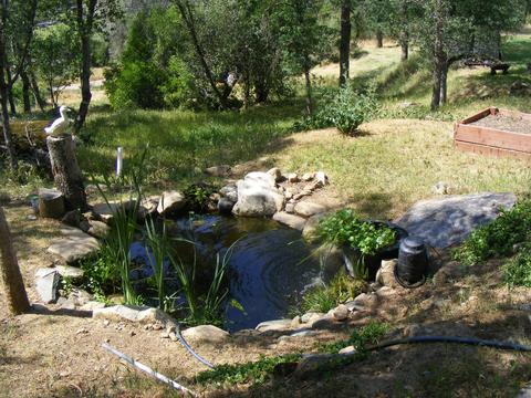 42504 Sierra Dr, Three Rivers, CA 93271 photo 47